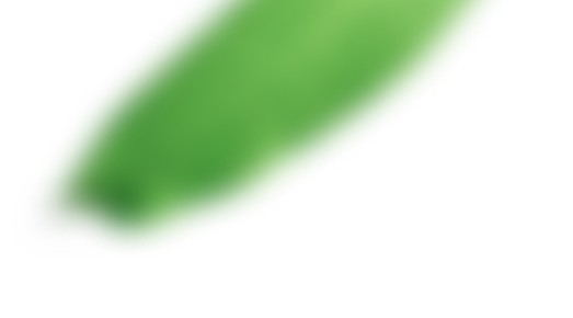 patern