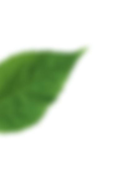 patern