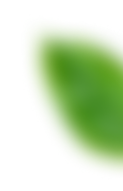 patern