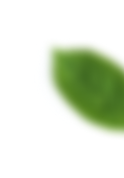 patern